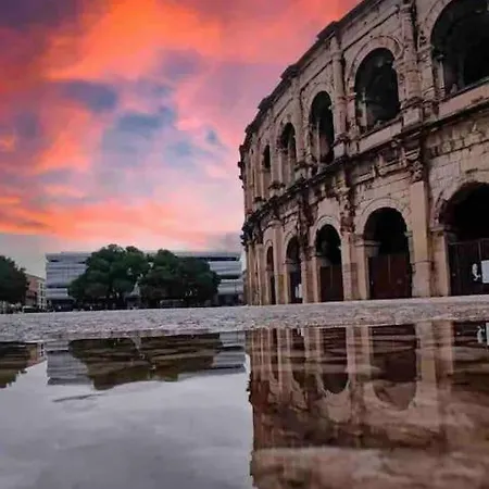 Le Petit Musée à 2 Pas Des Arènes