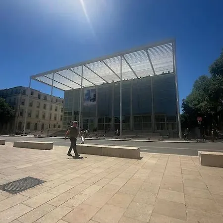Le Petit Musée à 2 Pas Des Arènes