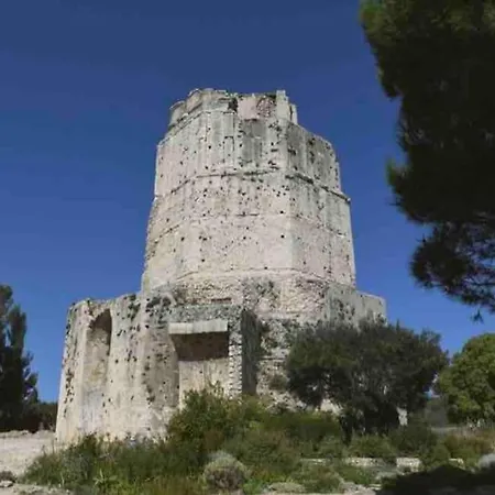 Le Petit Musée à 2 Pas Des Arènes Appartamento *